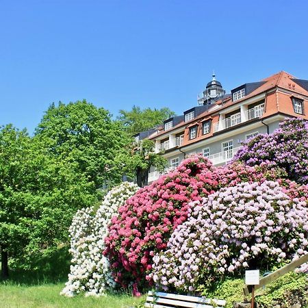Ferienwohnung Natur Und Kunst Dresden Bagian luar foto