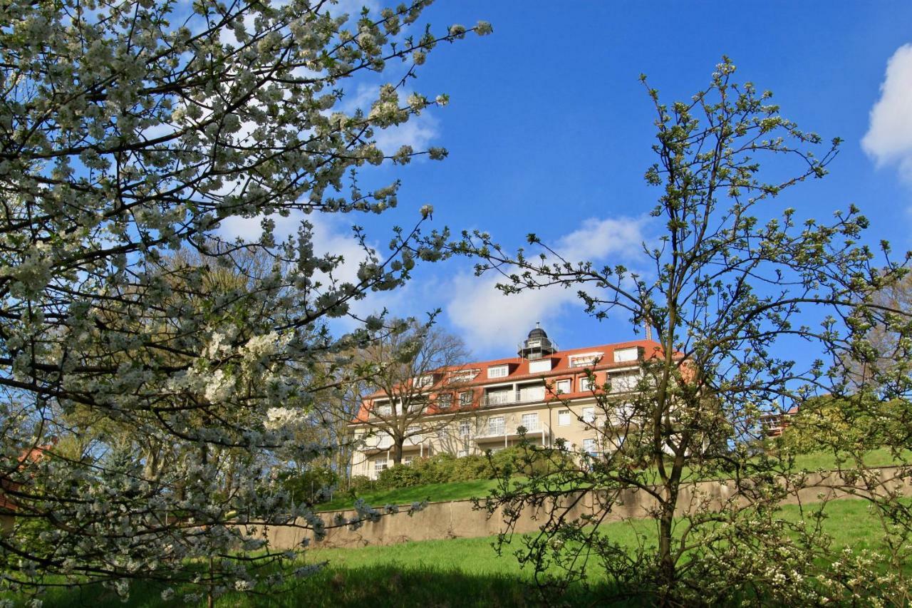 Ferienwohnung Natur Und Kunst Dresden Bagian luar foto