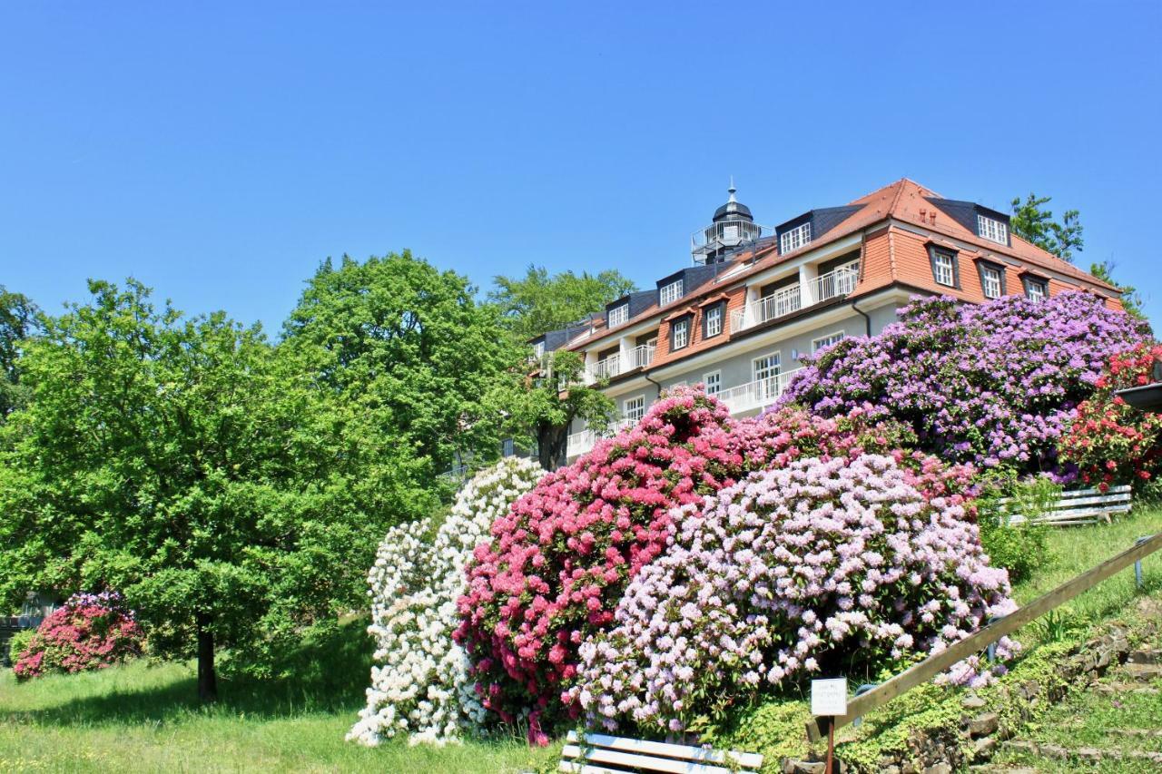 Ferienwohnung Natur Und Kunst Dresden Bagian luar foto
