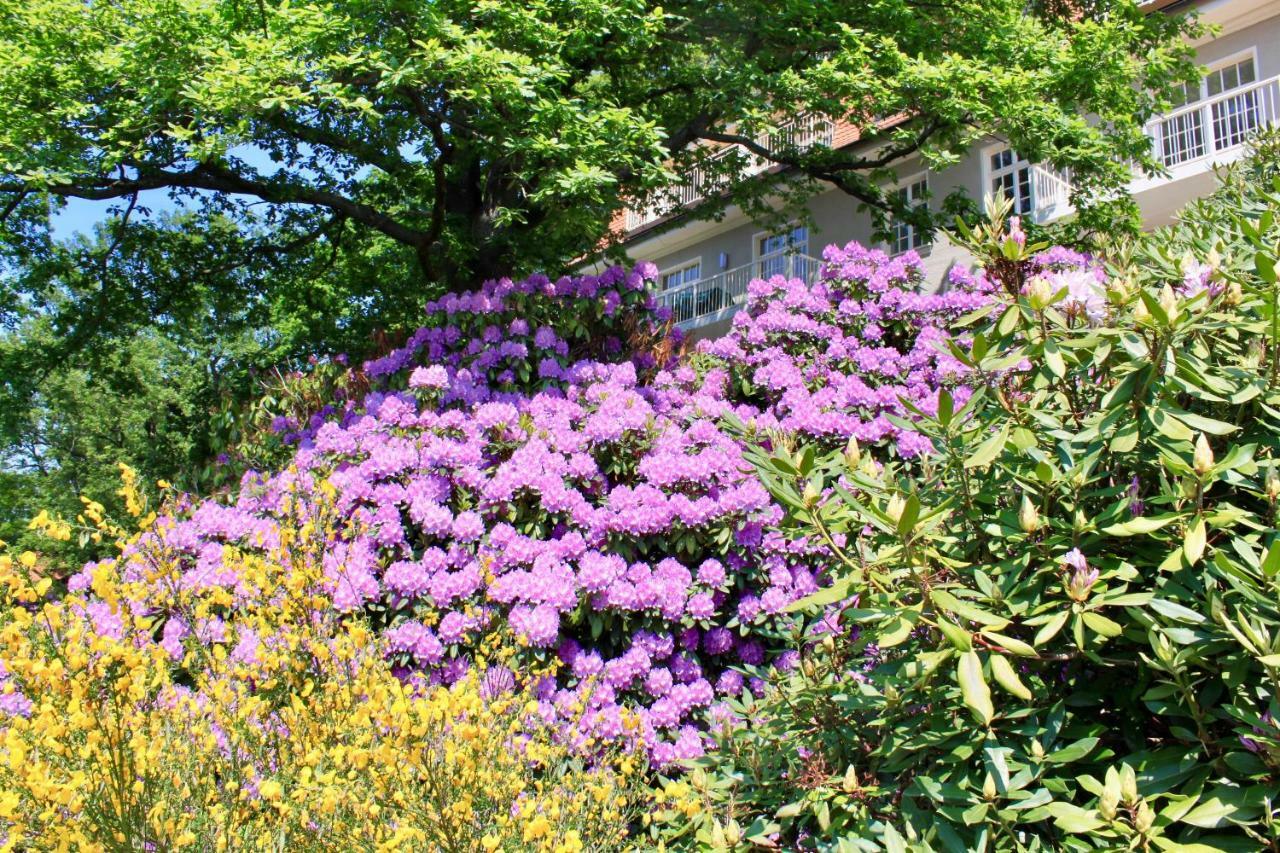 Ferienwohnung Natur Und Kunst Dresden Bagian luar foto
