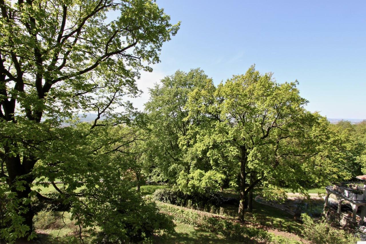 Ferienwohnung Natur Und Kunst Dresden Bagian luar foto