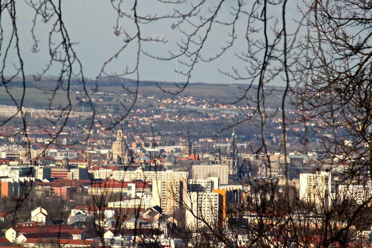 Ferienwohnung Natur Und Kunst Dresden Bagian luar foto