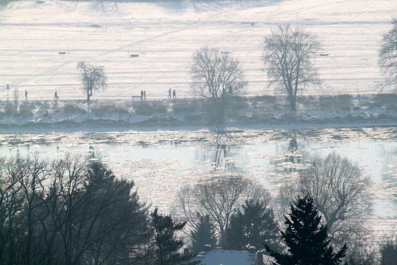 Ferienwohnung Natur Und Kunst Dresden Bagian luar foto