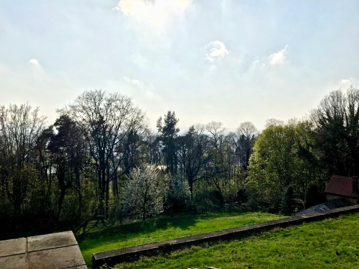 Ferienwohnung Natur Und Kunst Dresden Bagian luar foto