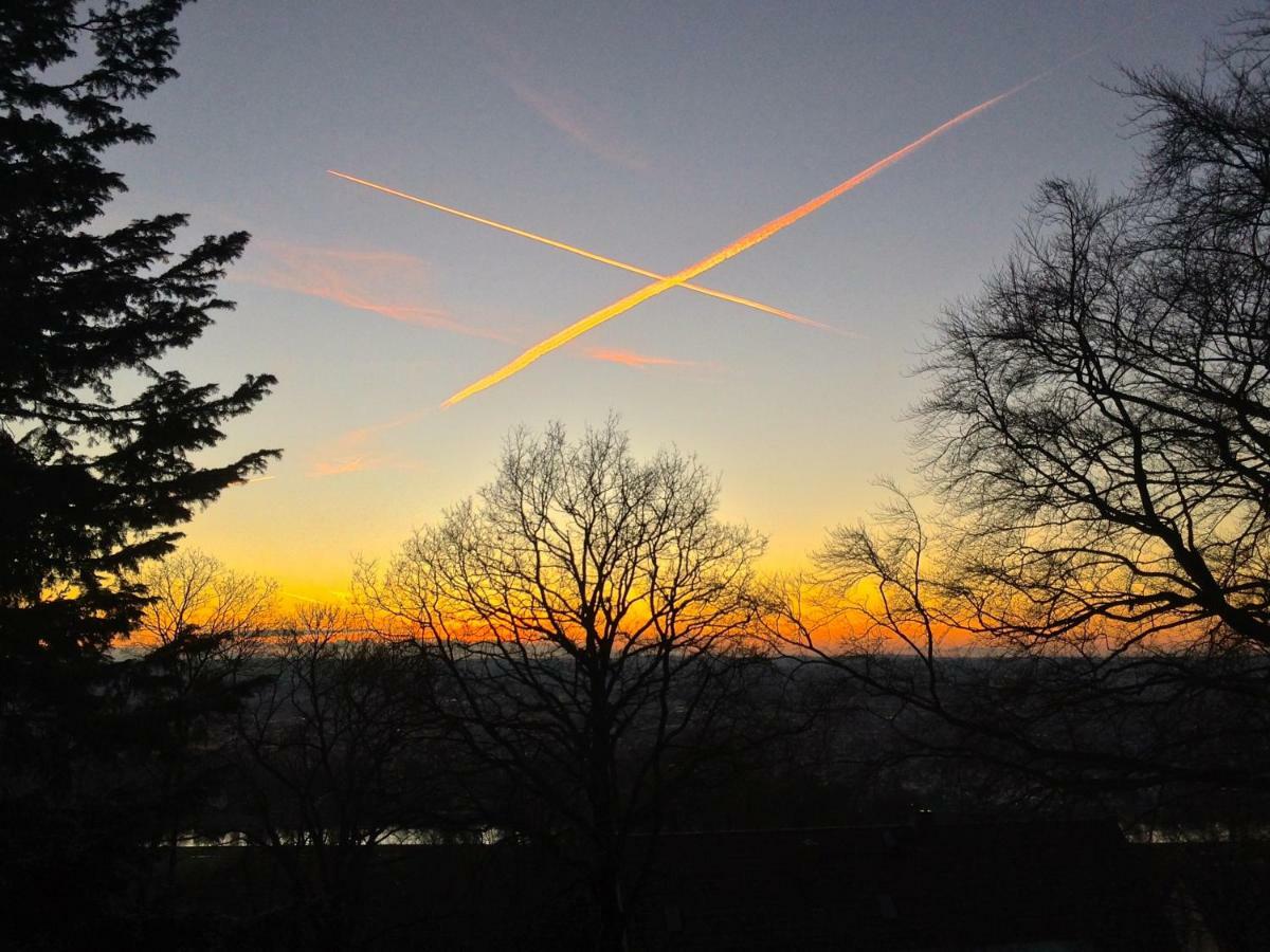 Ferienwohnung Natur Und Kunst Dresden Bagian luar foto