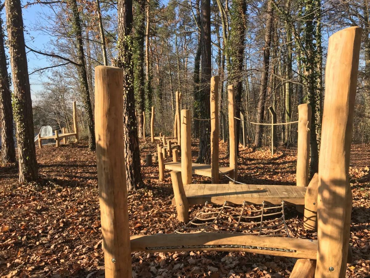 Ferienwohnung Natur Und Kunst Dresden Bagian luar foto