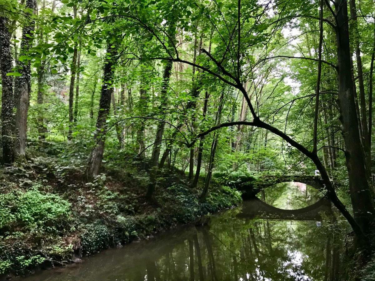 Ferienwohnung Natur Und Kunst Dresden Bagian luar foto