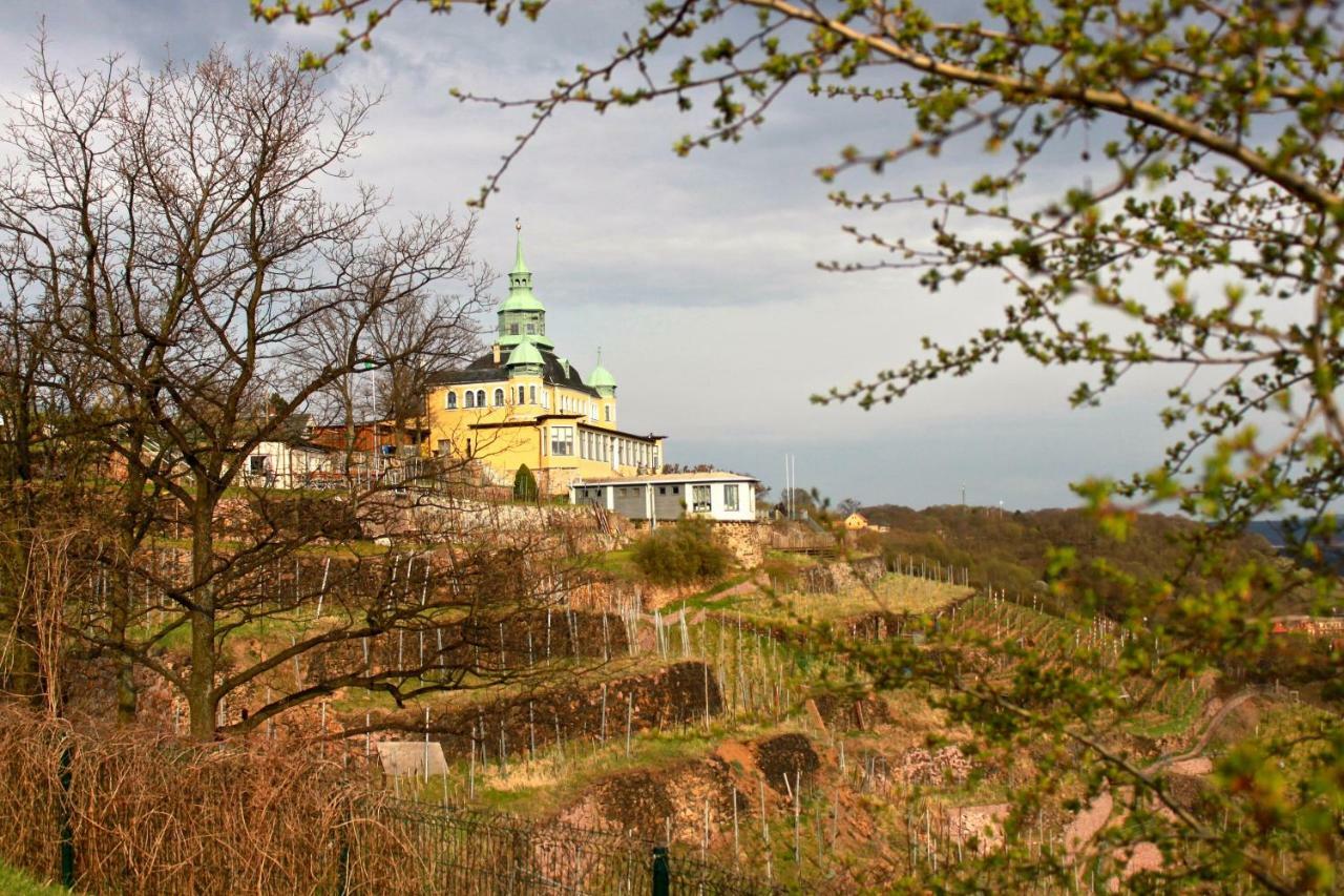 Ferienwohnung Natur Und Kunst Dresden Bagian luar foto