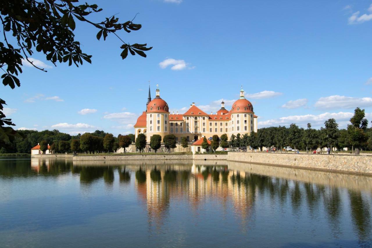 Ferienwohnung Natur Und Kunst Dresden Bagian luar foto