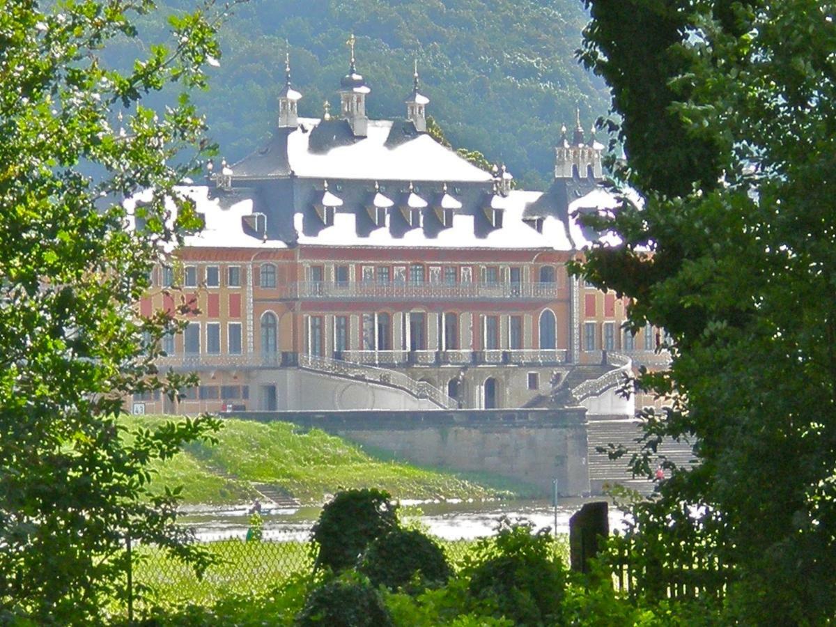 Ferienwohnung Natur Und Kunst Dresden Bagian luar foto