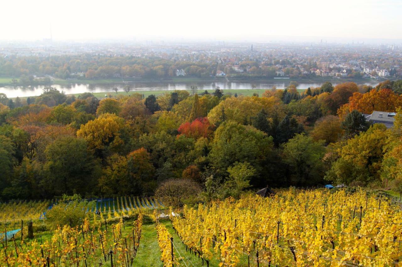 Ferienwohnung Natur Und Kunst Dresden Bagian luar foto
